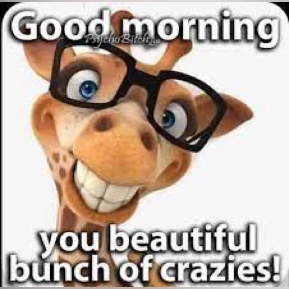 FRIDAY LIVE @dina_fiore FriYAY fab fun! 2pm EST! 🌺 like for times - Picture 8 of 14